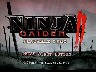 ninjaga2.JPG