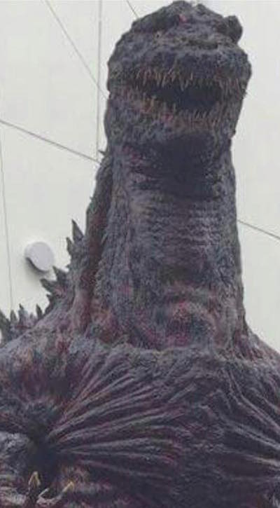 Anno Godzilla LeakPhoto 02